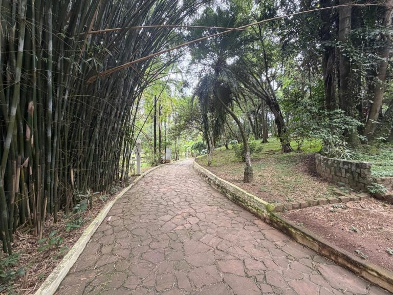 APARTAMENTO MORUMBI